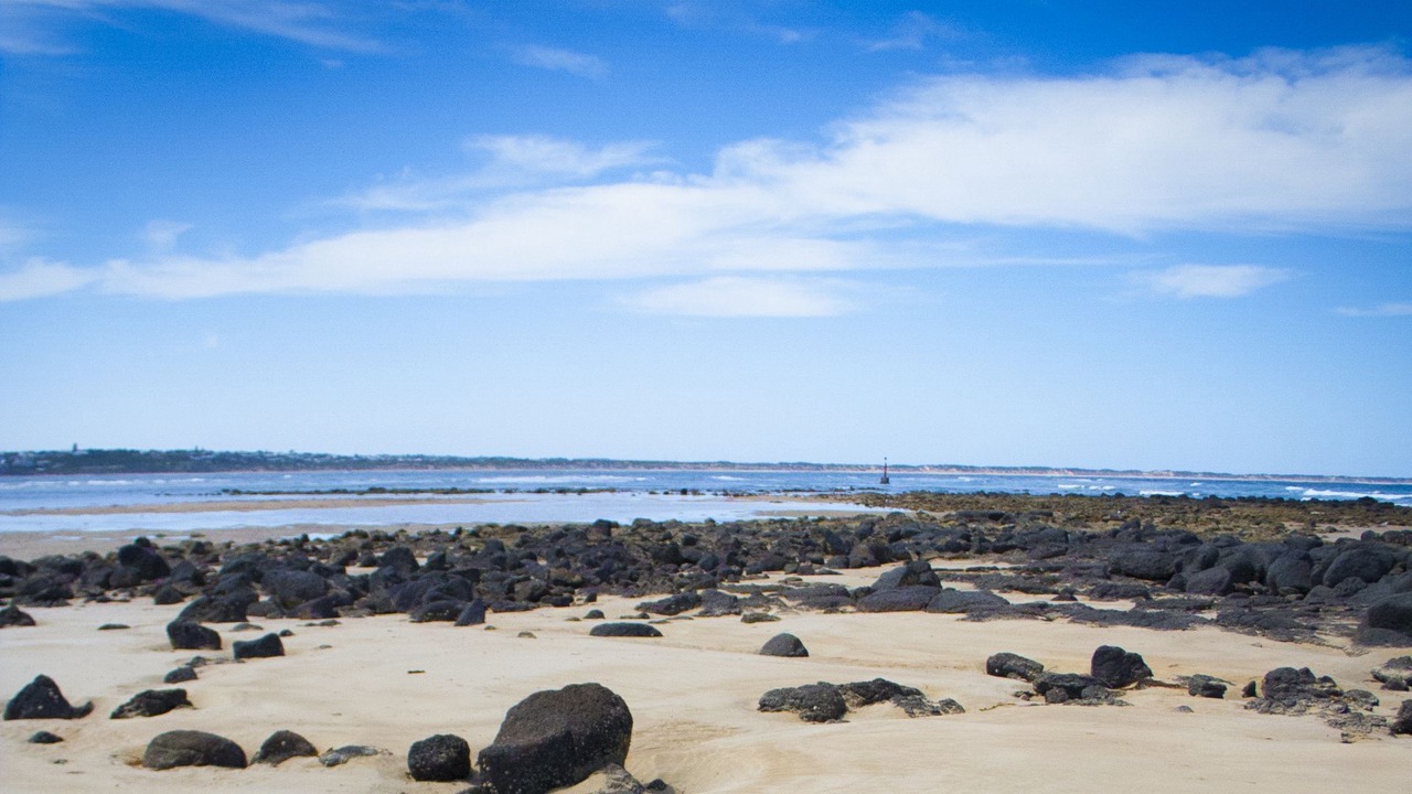 Photo of Others in Barwon Heads