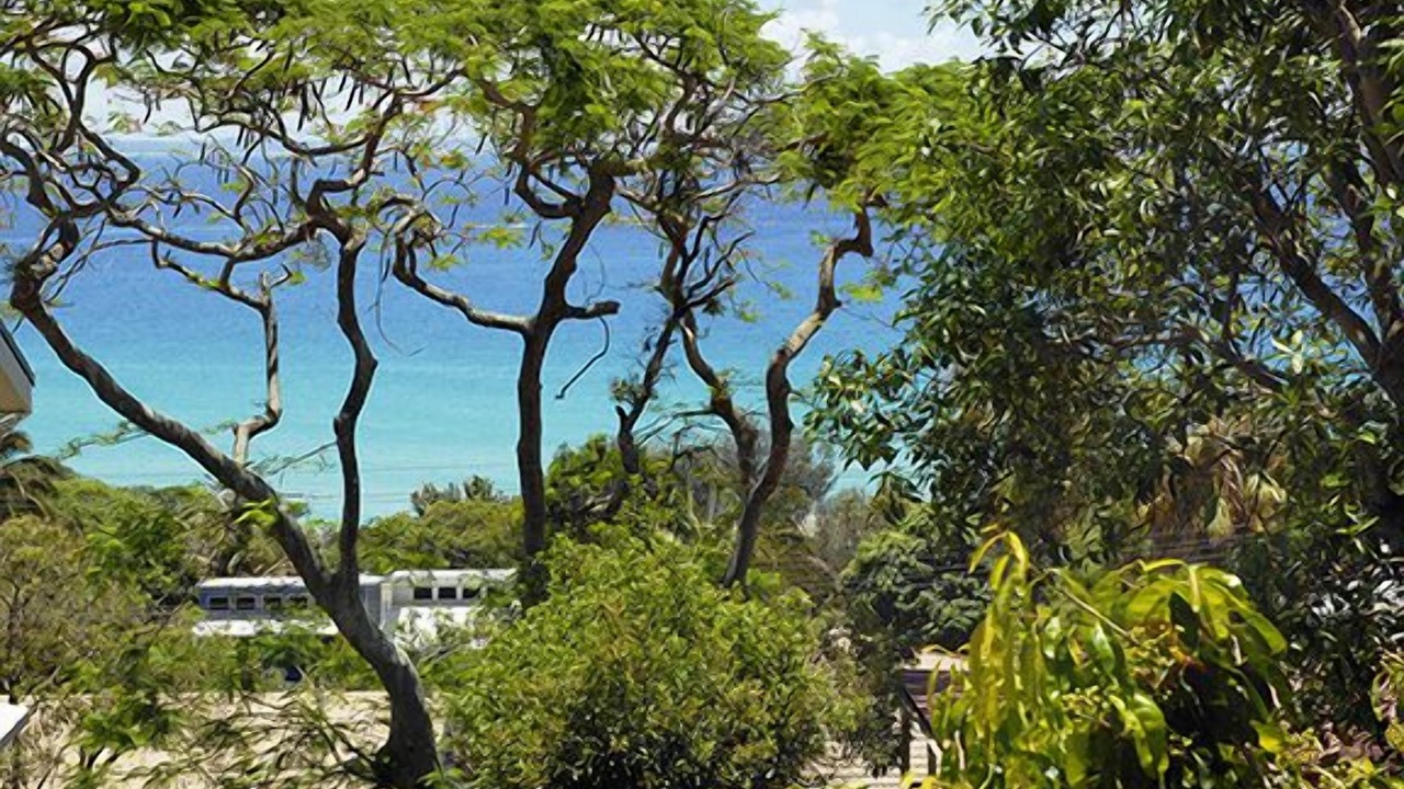 Photo of Outdoor in Point Lookout