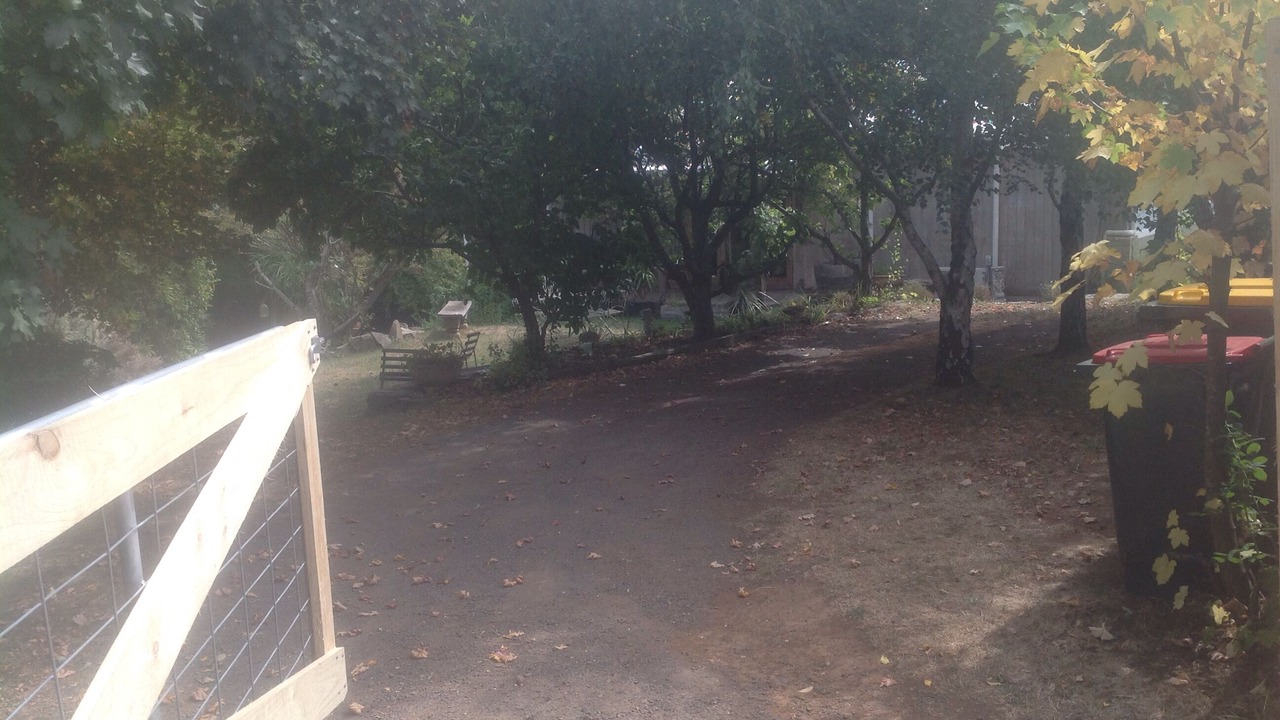 Photo of Outdoor in Musk