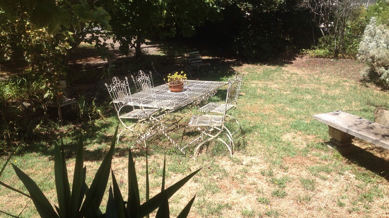Photo of Outdoor in Musk