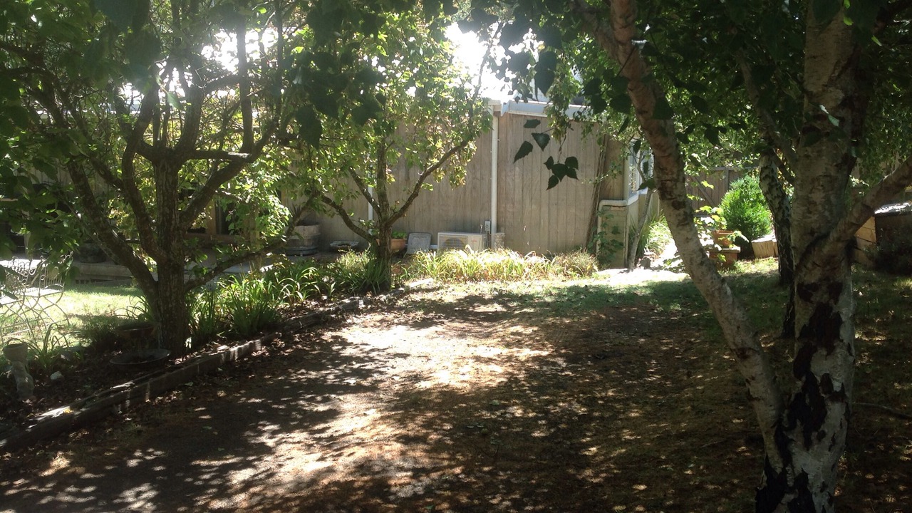 Photo of Outdoor in Musk