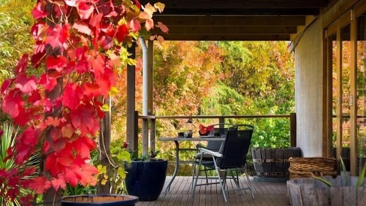 Photo of Outdoor in Musk