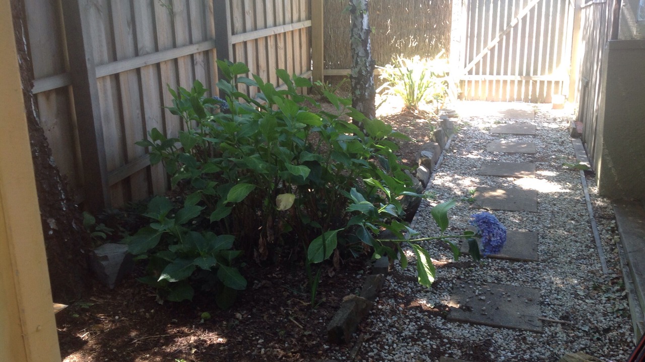 Photo of Outdoor in Musk