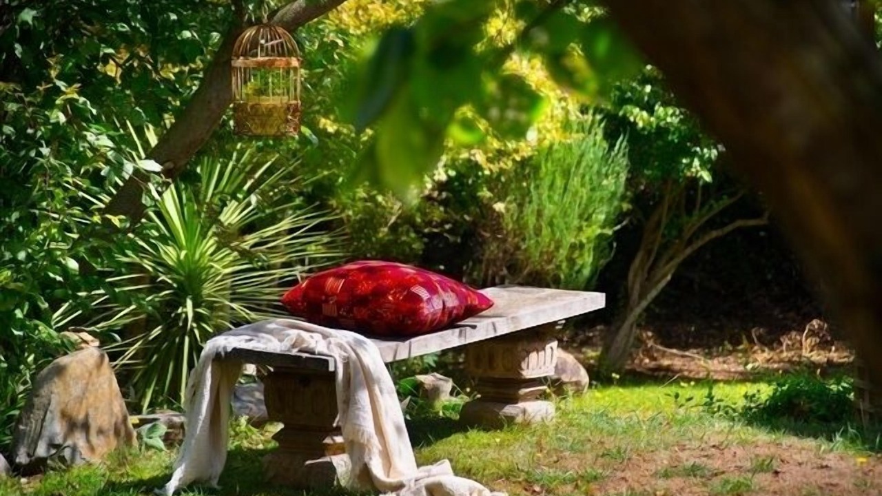 Photo of Outdoor in Musk