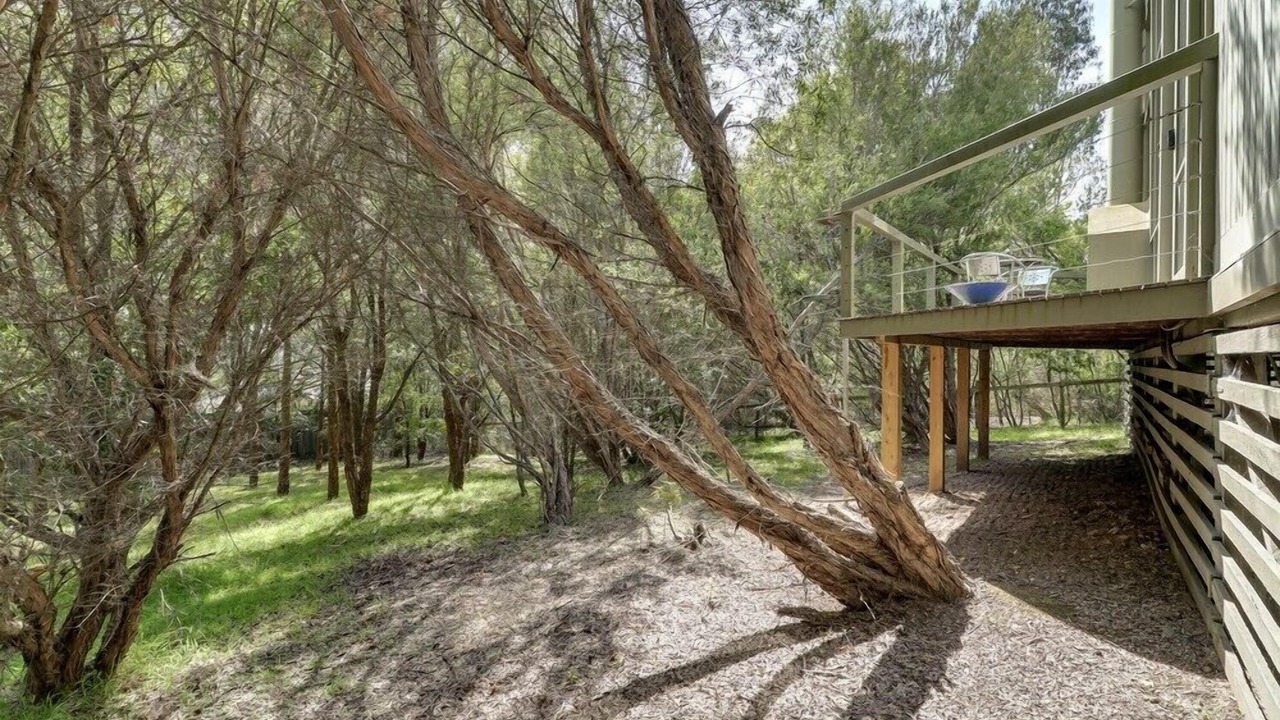 Photo of Outdoor in Metung
