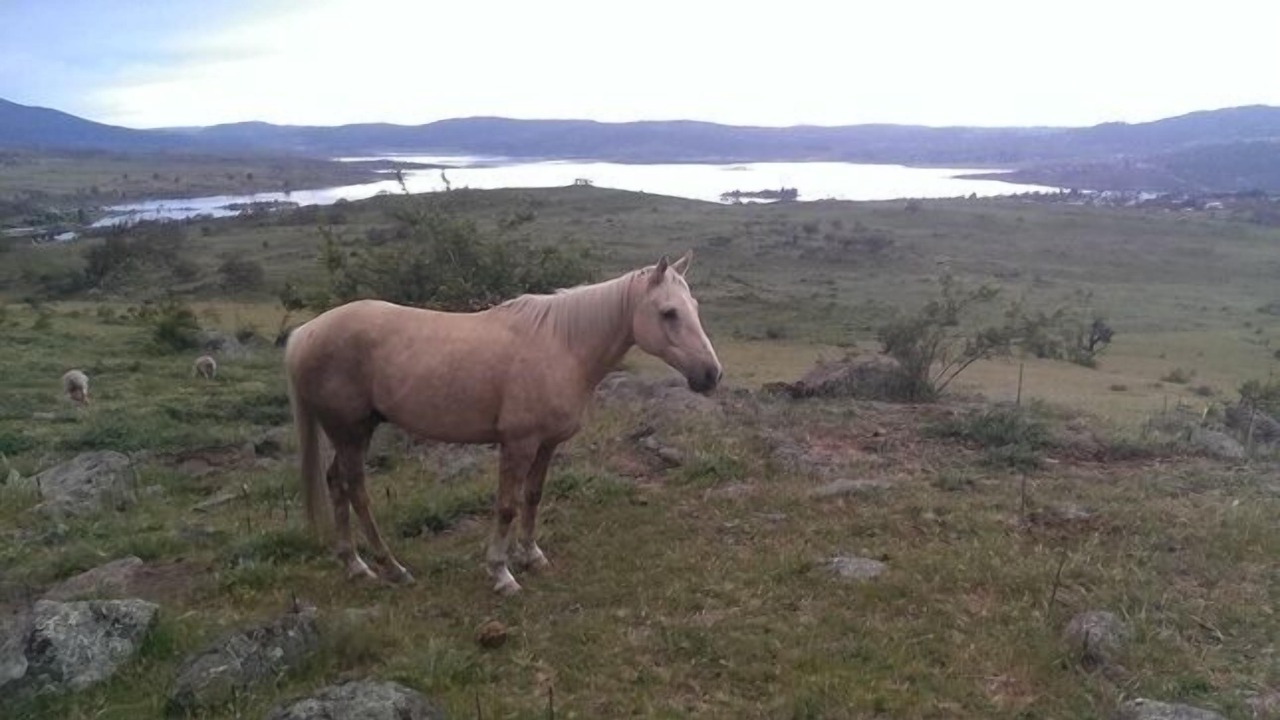 Photo of Outdoor in Jindabyne