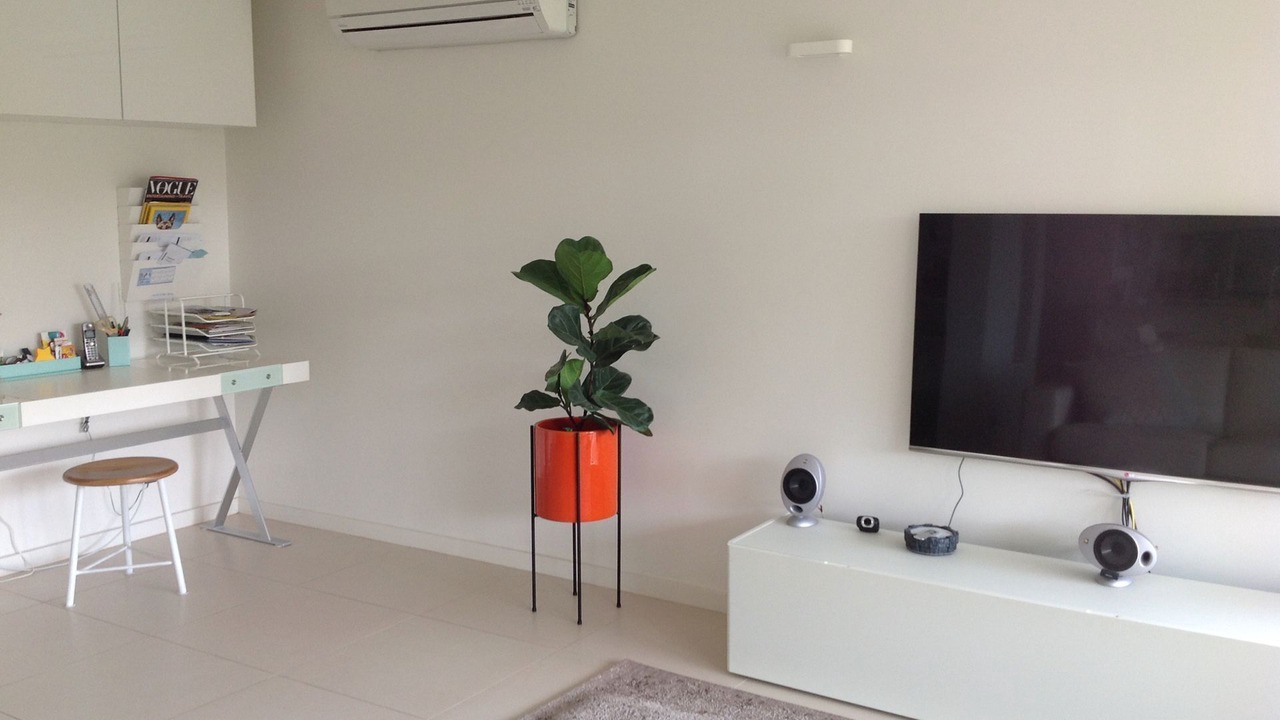 Photo of Others in South Perth