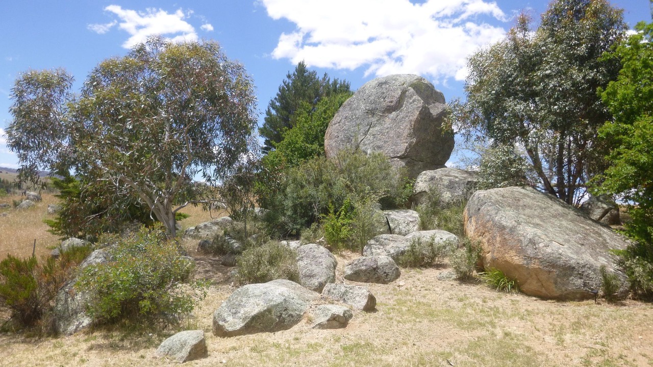 Photo of Outdoor in Dalgety