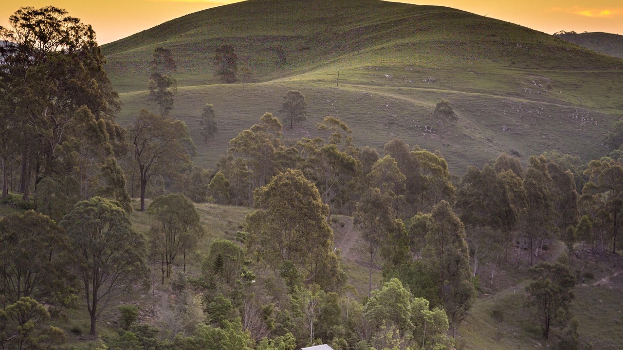 Photo of Others in Summer Hill