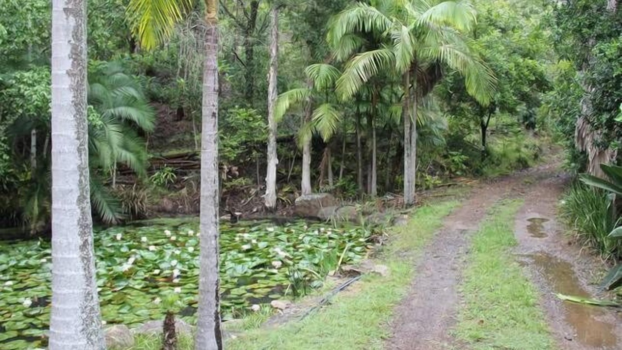 Photo of Others in Summer Hill