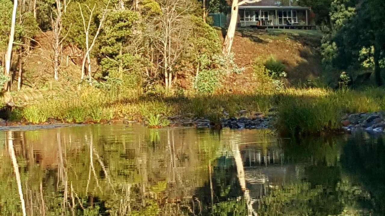 Photo of Others in Howqua