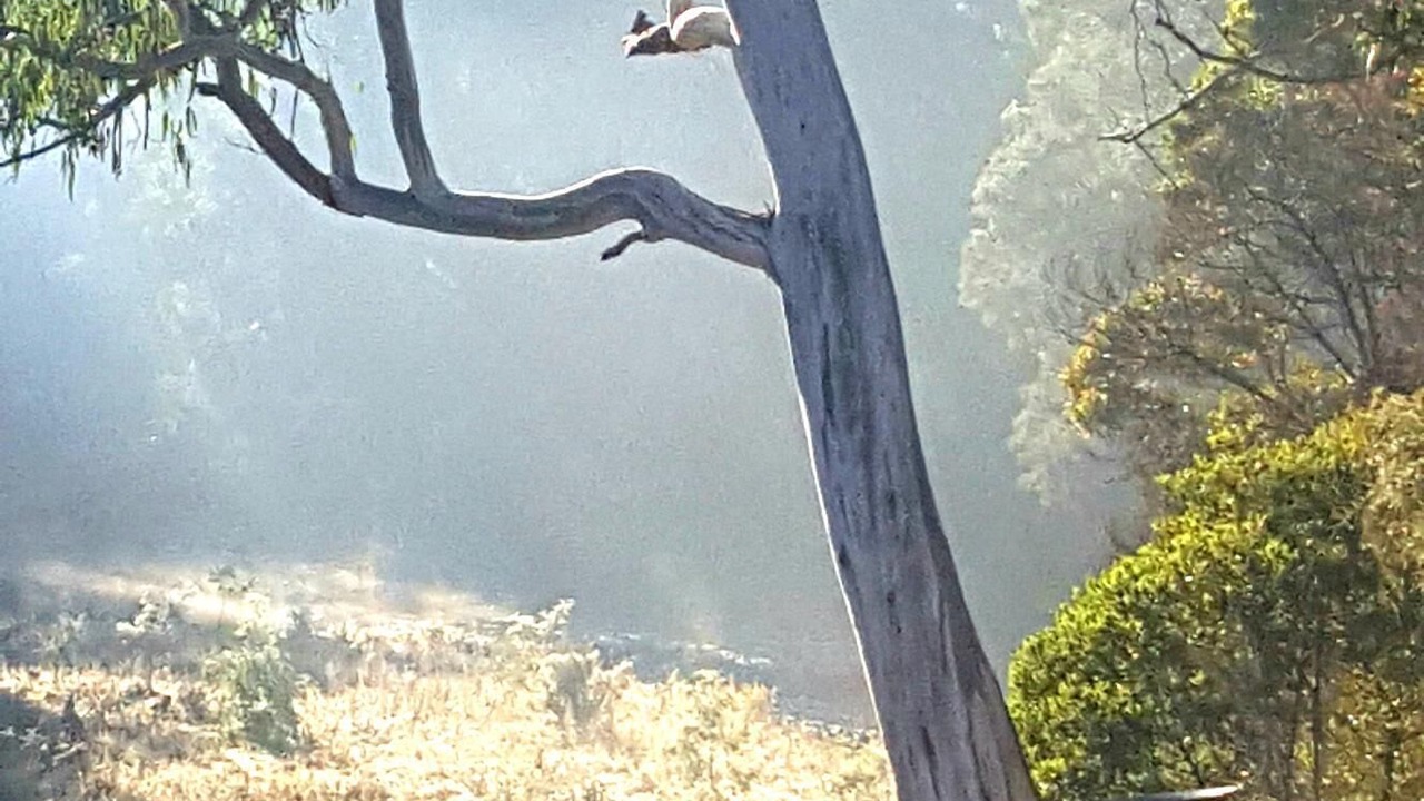 Photo of Others in Howqua