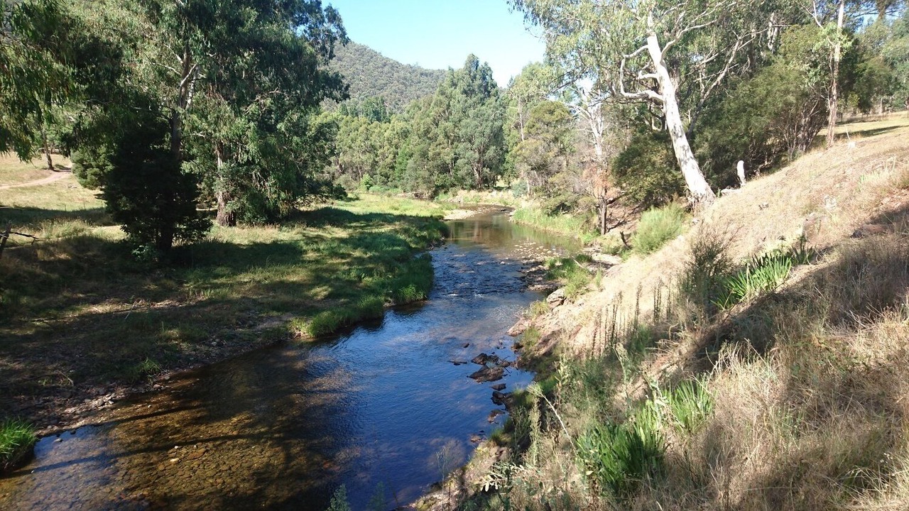 Photo of Outdoor in Howqua