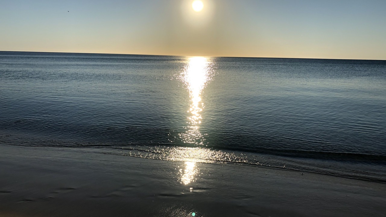 Photo of Others in Port Willunga