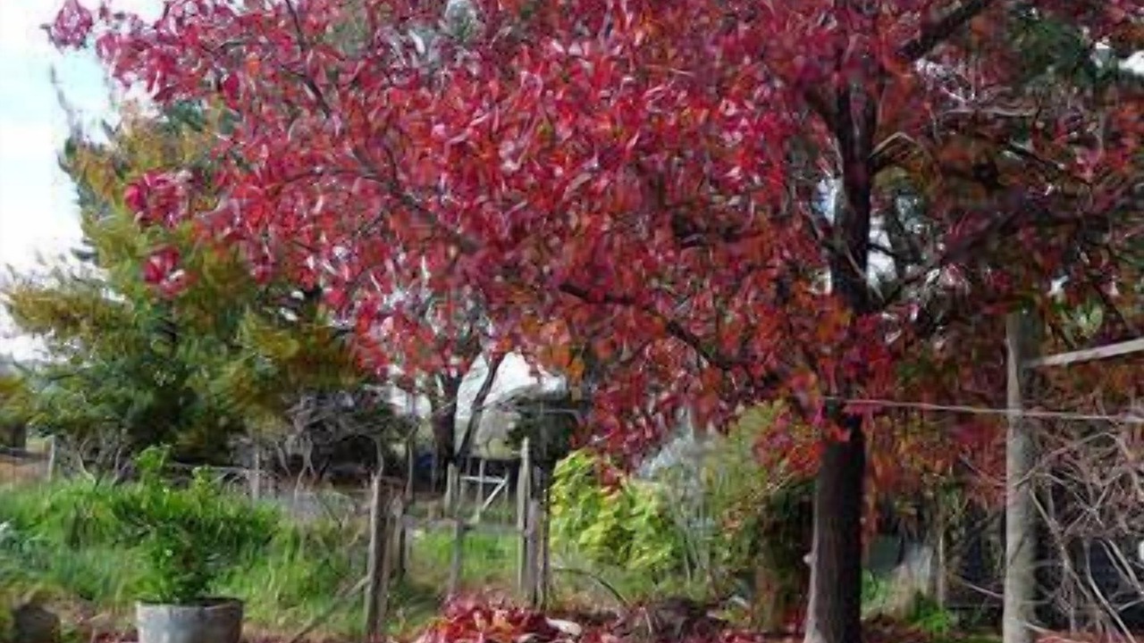 Photo of Outdoor in Bridgetown