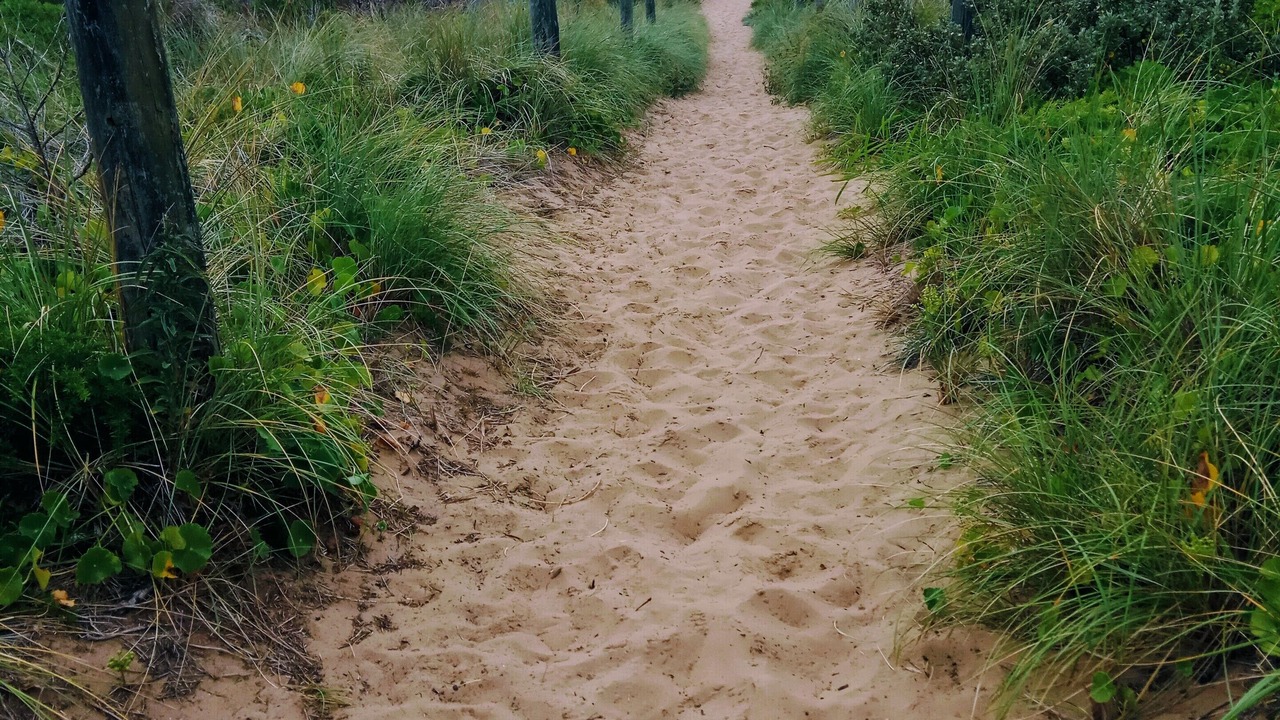 Photo of Others in Culburra Beach