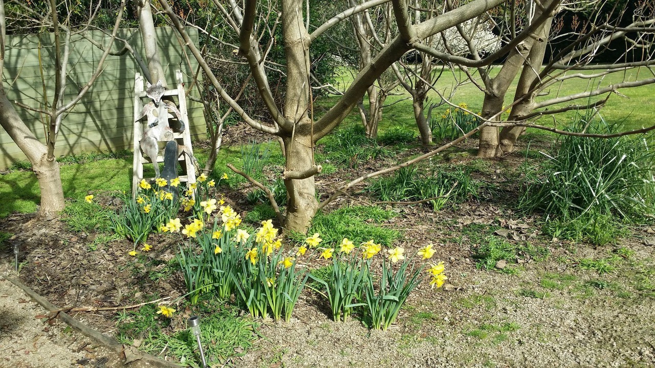 Photo of Outdoor in Red Hill South
