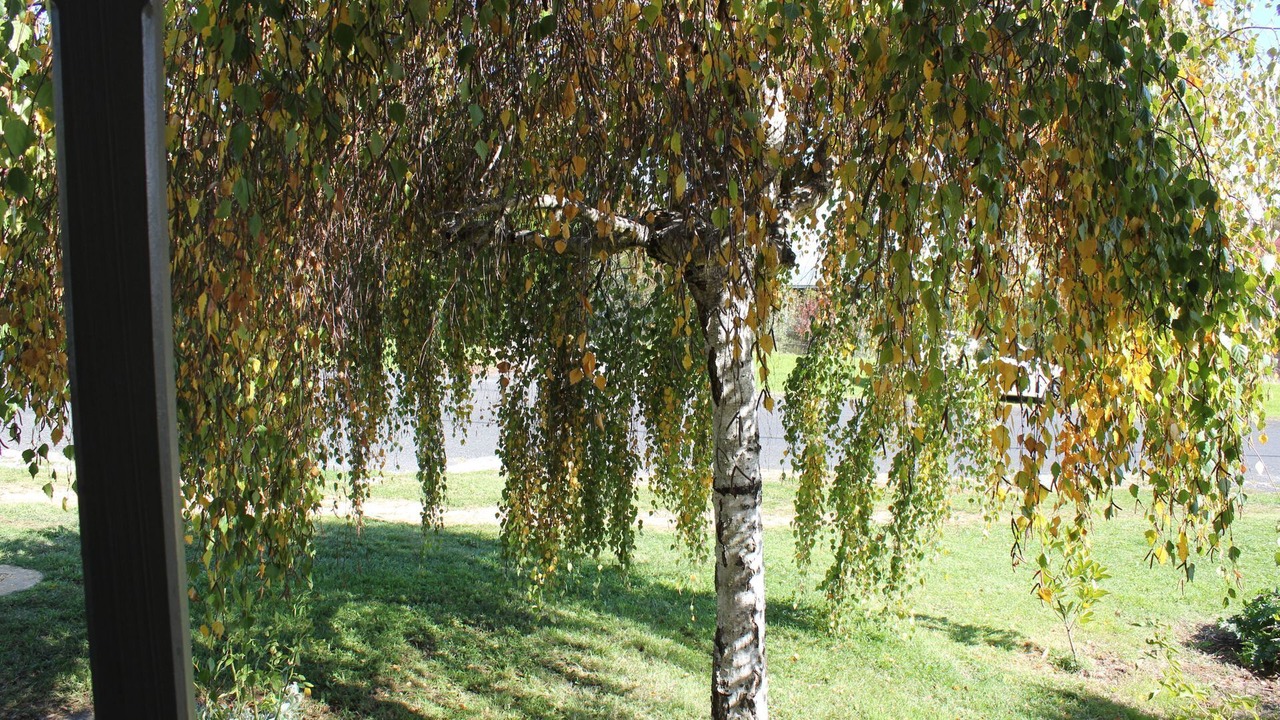 Photo of Outdoor in Millthorpe