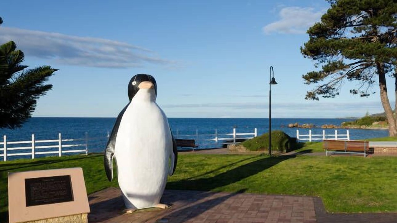 Photo of Outdoor in Penguin