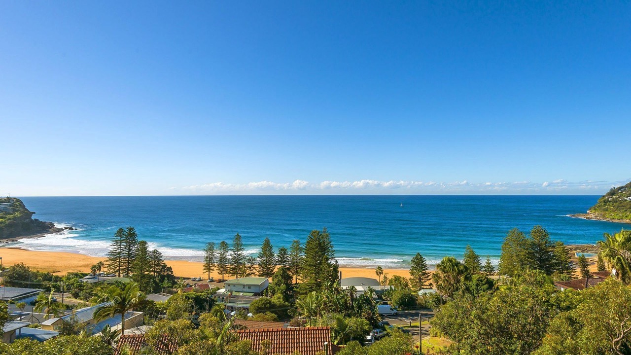 Photo of Others in Whale Beach