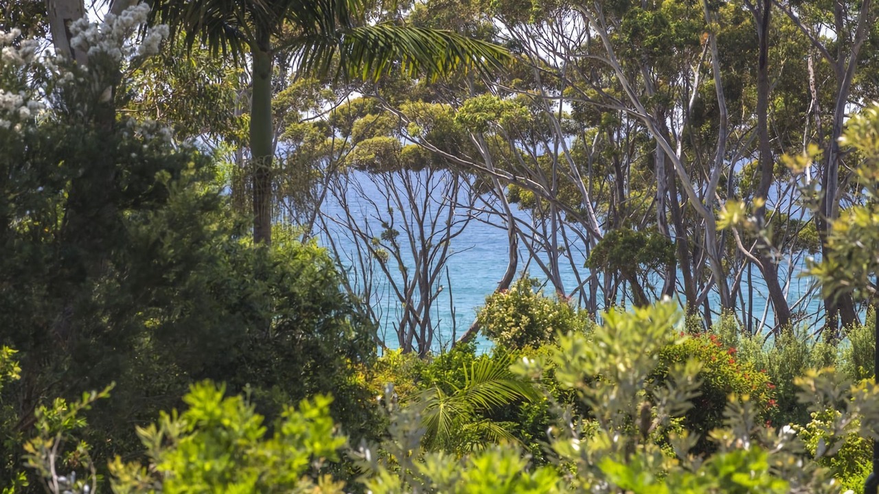 Photo of Outdoor in Narrawallee