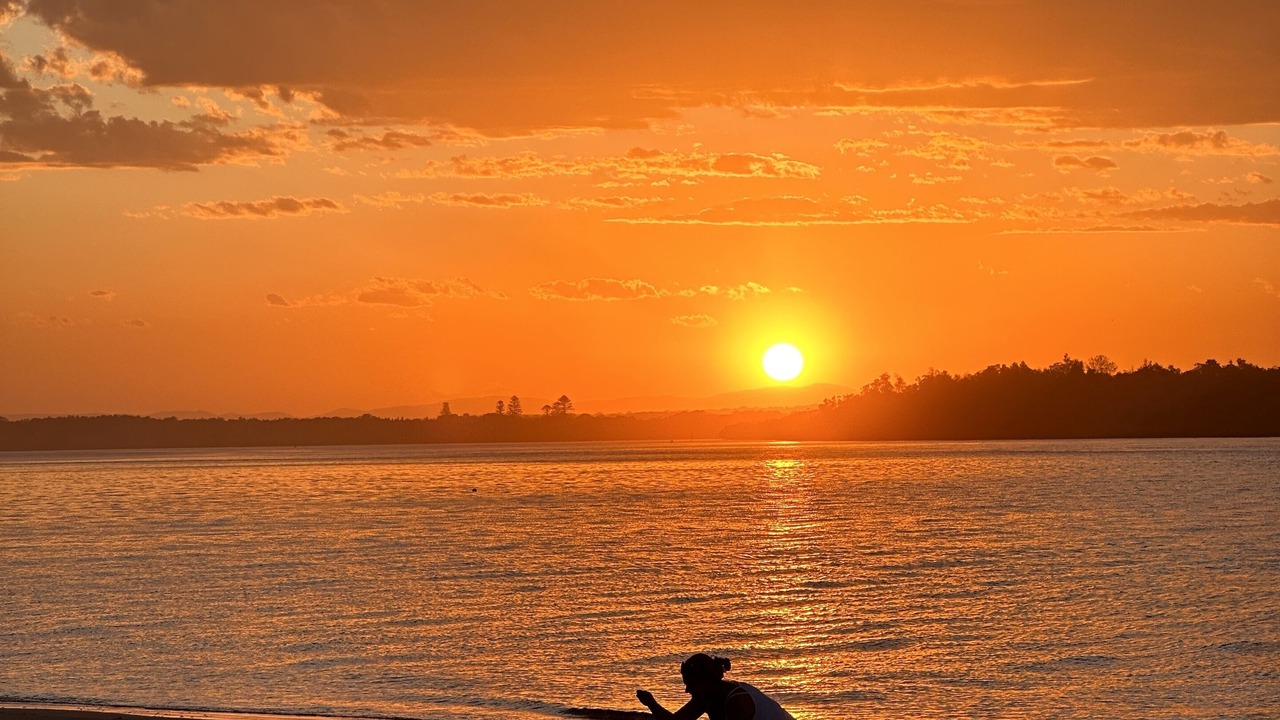Photo of Others in Manning Point