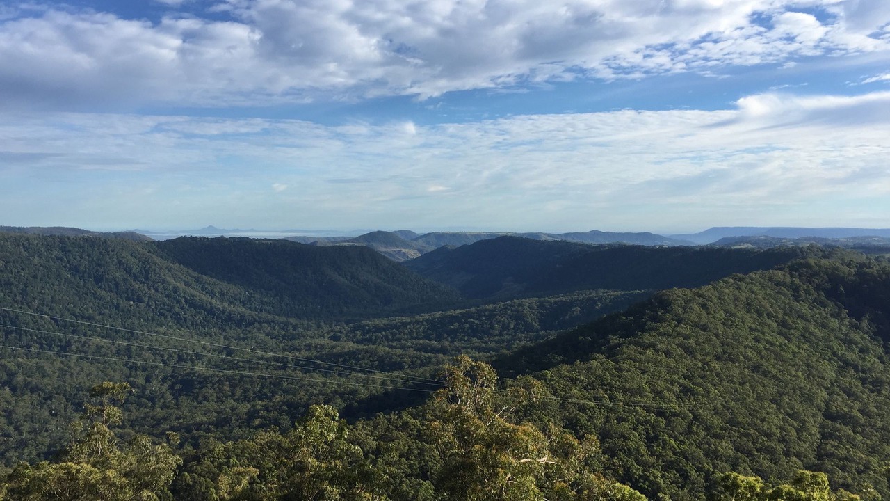 Photo of Outdoor in Binna Burra
