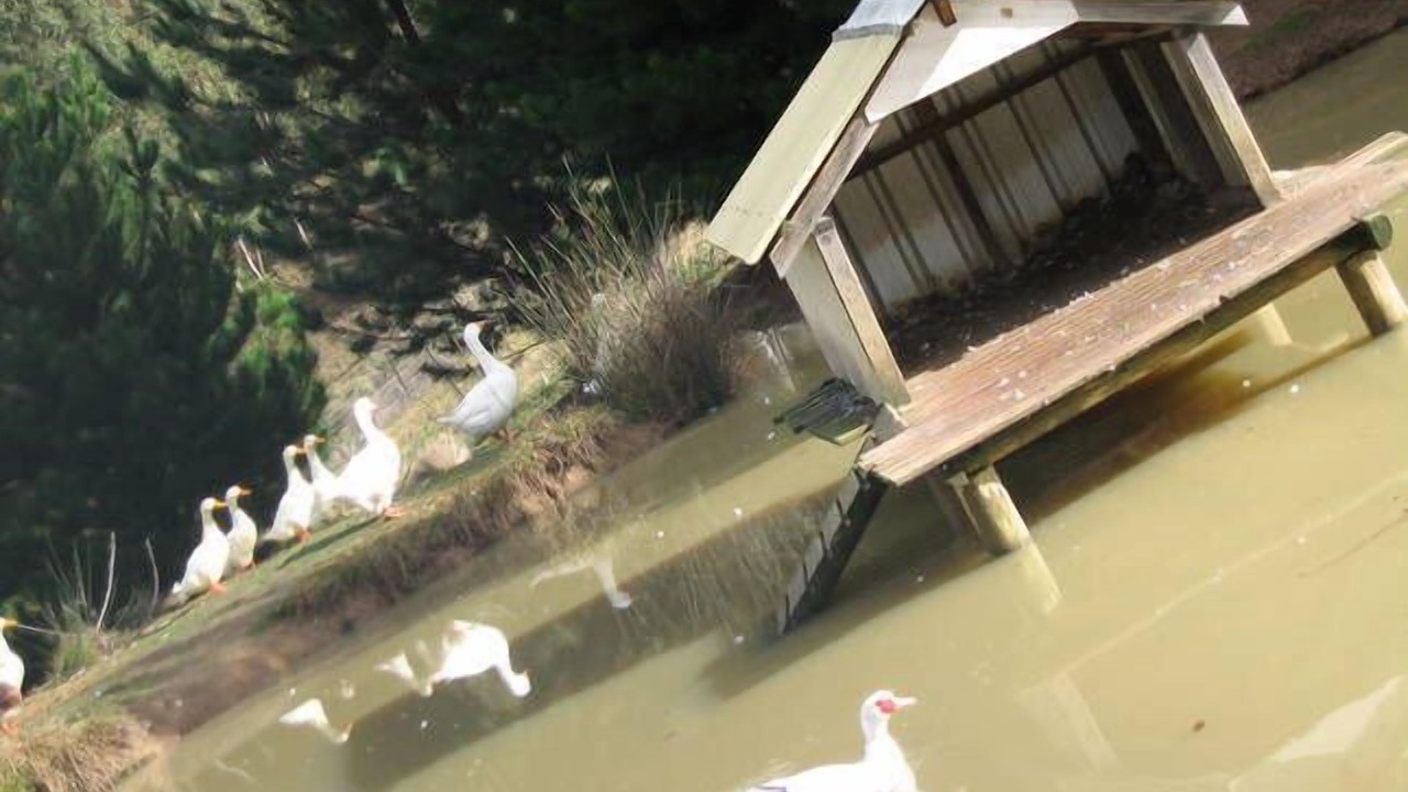 Photo of Outdoor in Duckmaloi