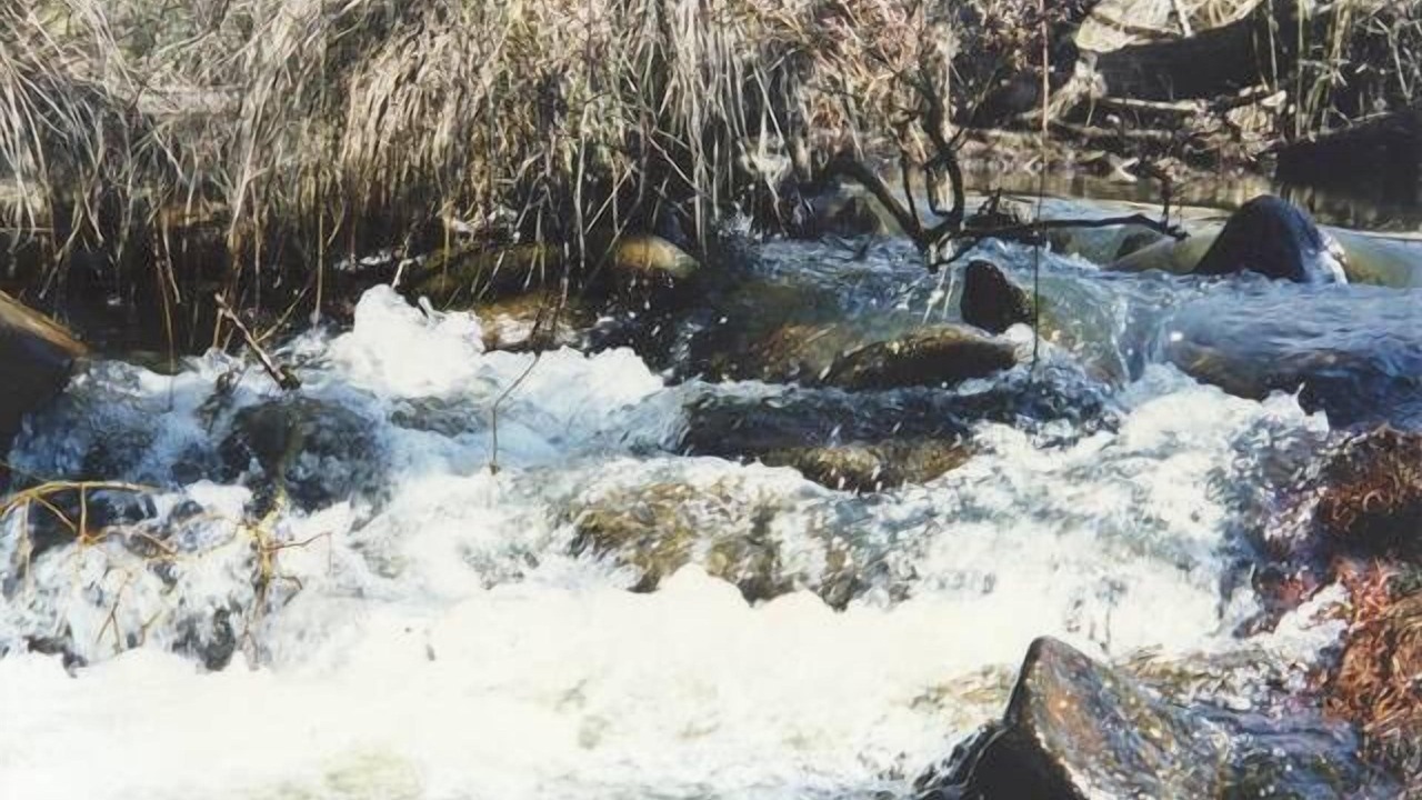 Photo of Others in Duckmaloi