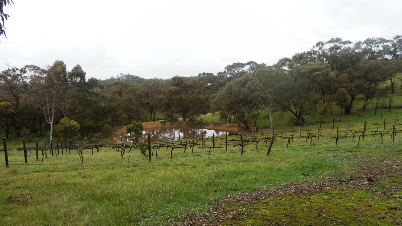 Photo of Outdoor in Spring Gully