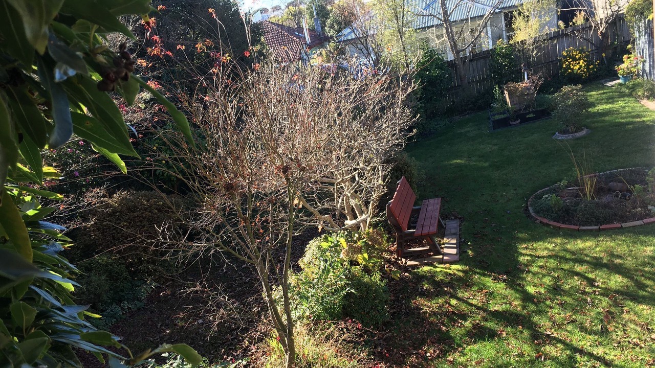 Photo of Outdoor in Katoomba