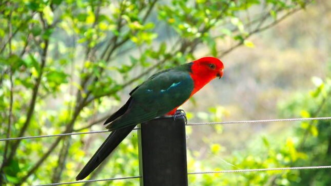 Photo of Outdoor in Montville