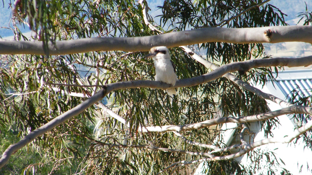 Photo of Outdoor in Stanhope