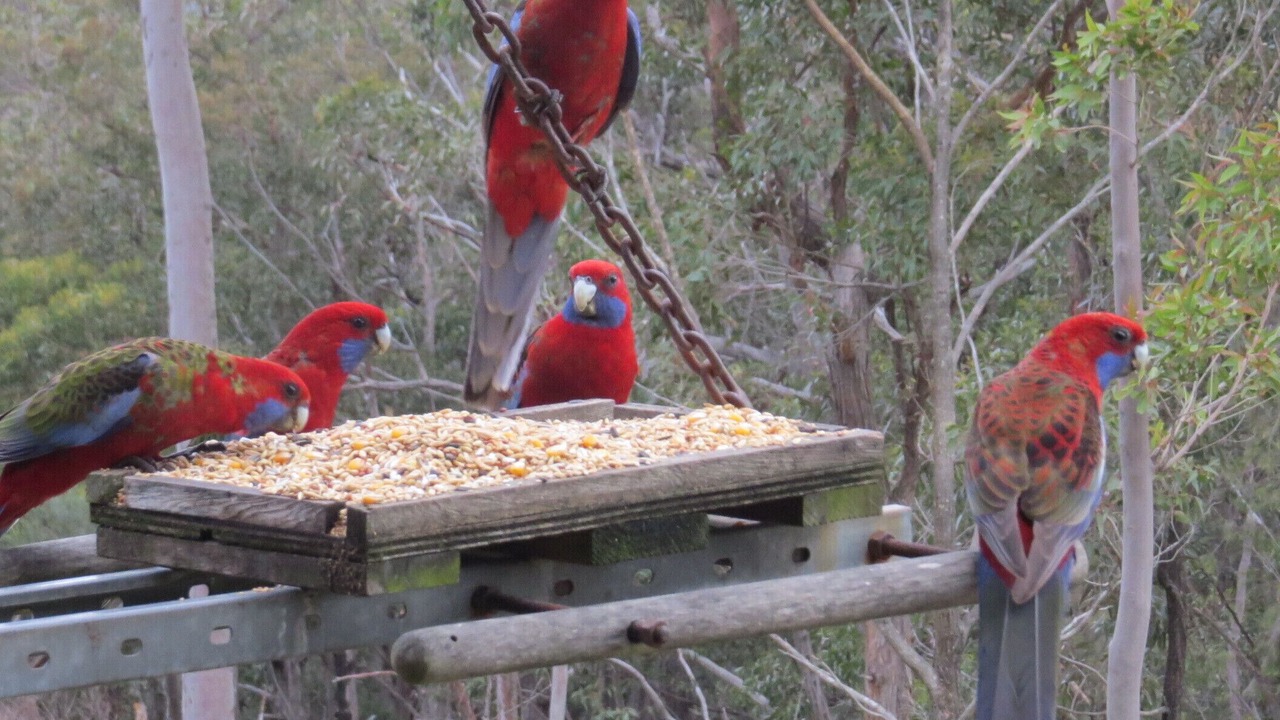 Photo of Others in Vacy