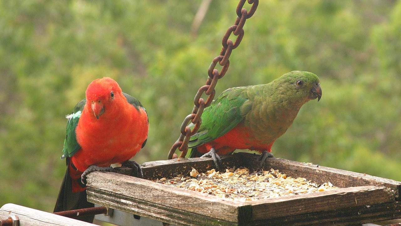Photo of Others in Vacy