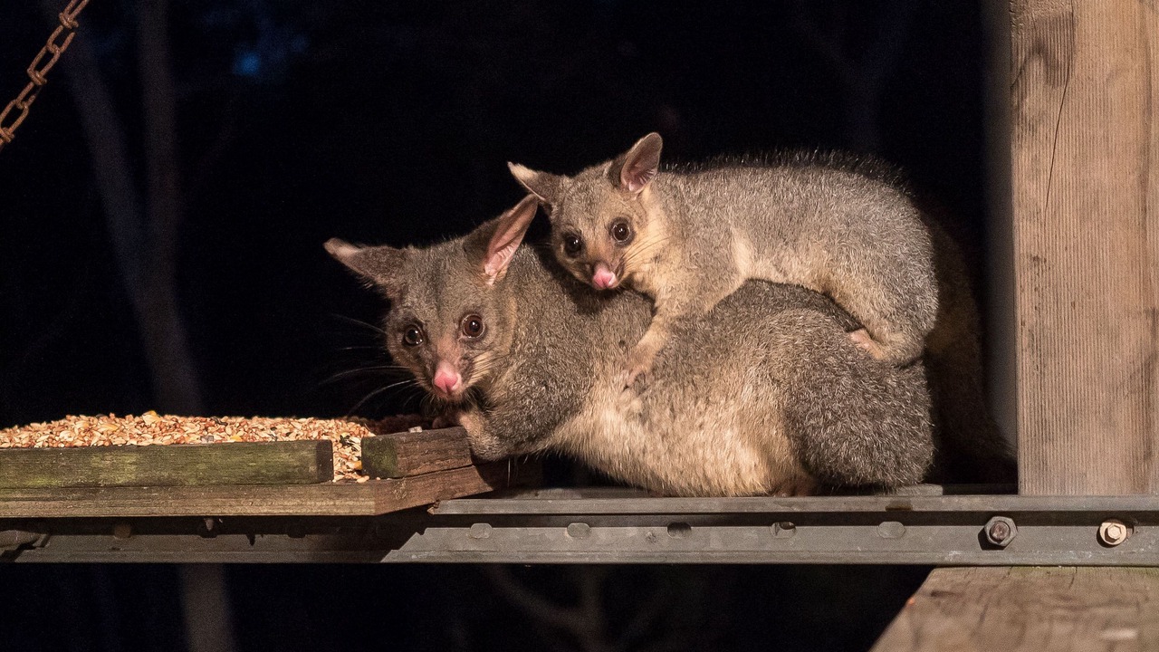 Photo of Others in Vacy