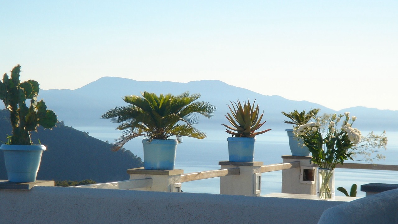 Photo of Outdoor in Votsi