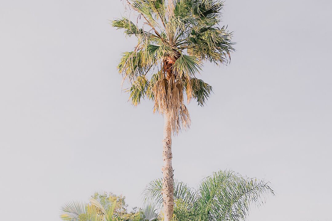 Photo of Outdoor in Black Head