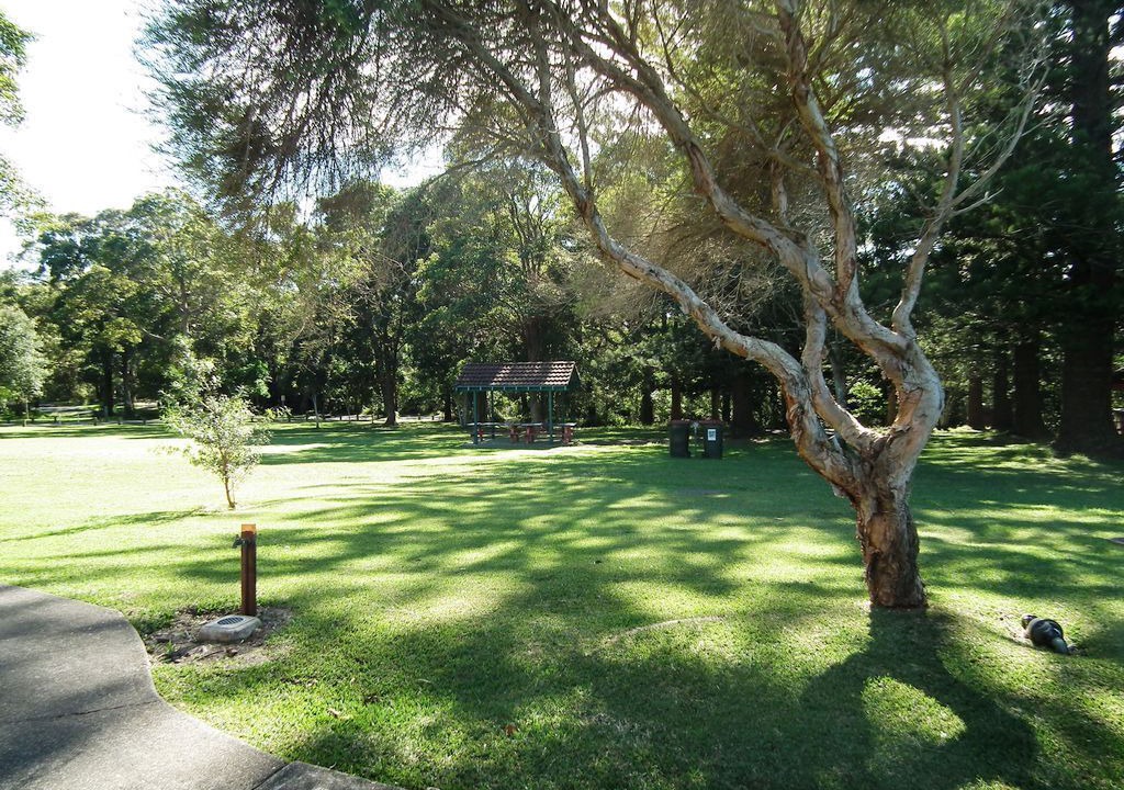 Photo of Outdoor in Black Head