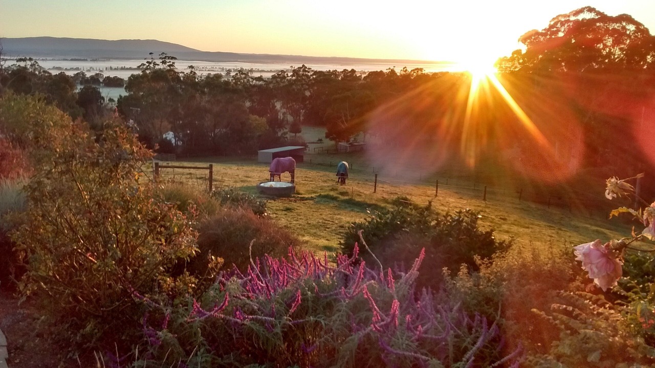 Photo of Outdoor in Yarragon