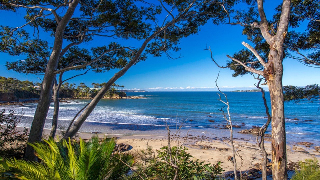 Photo of Others in Denhams Beach