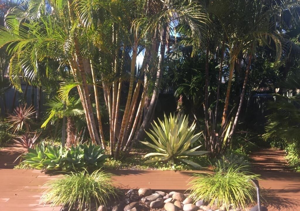 Photo of Others in Summerland Point