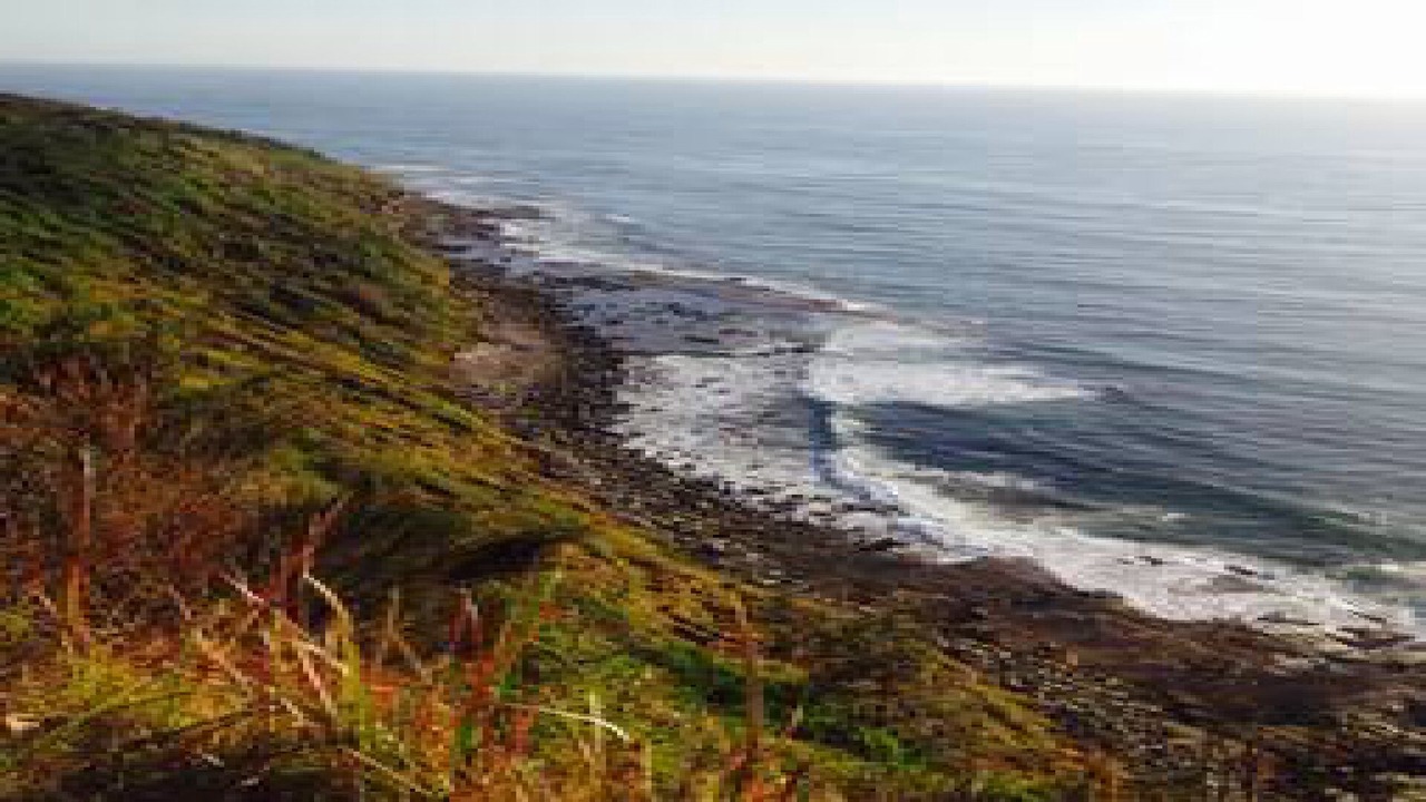 Photo of Others in Bateau Bay