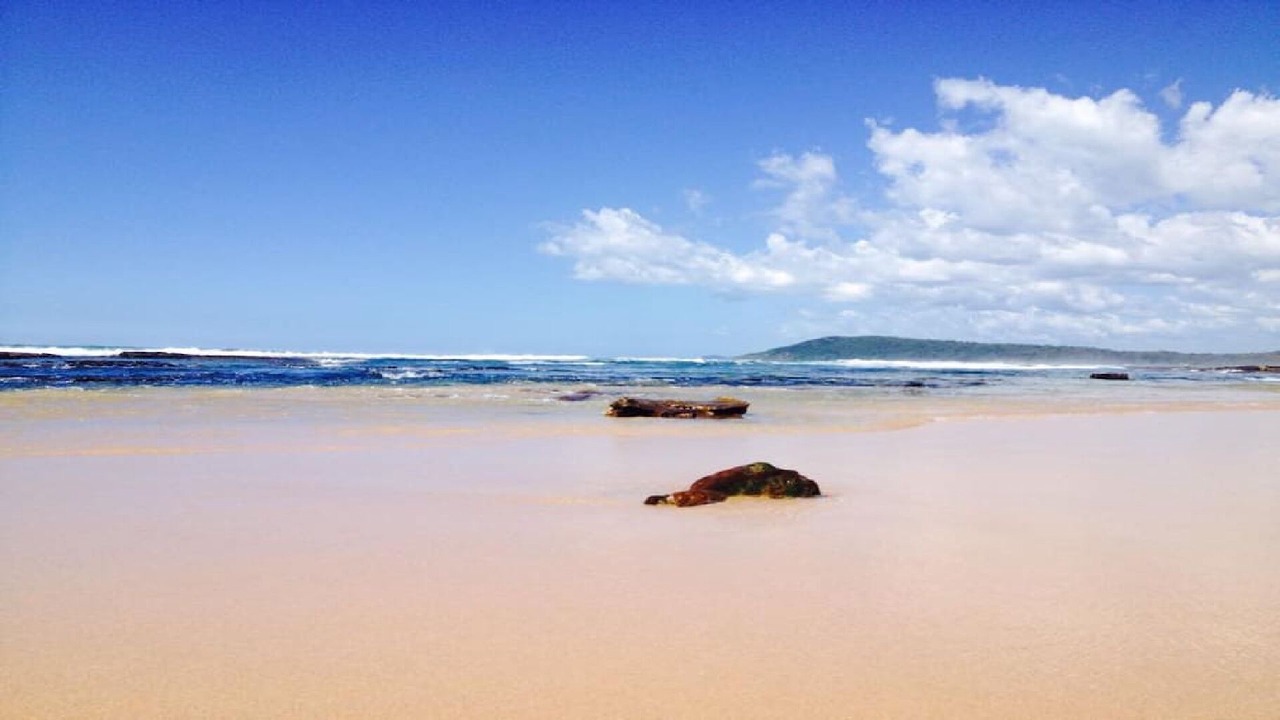 Photo of Others in Bateau Bay