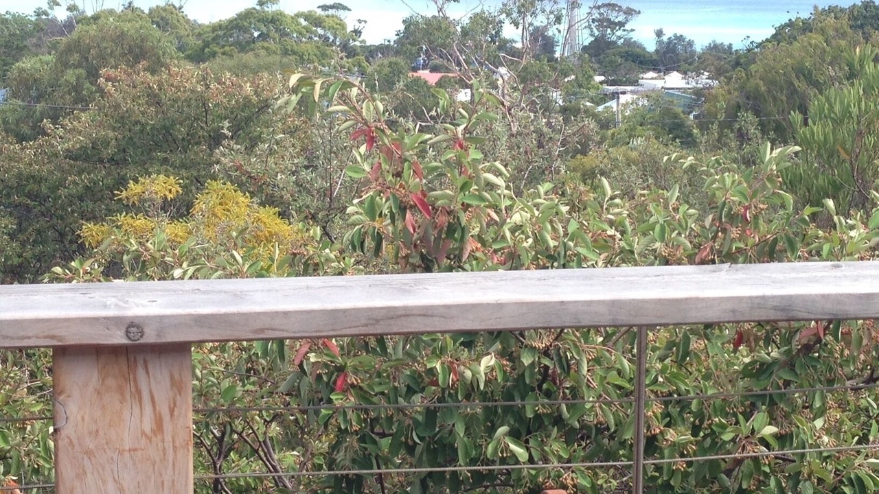 Photo of Others in McCrae