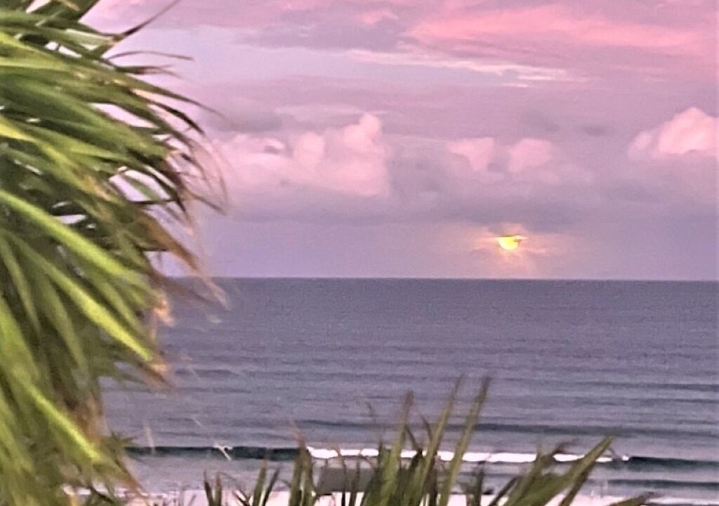Photo of Others in Tugun
