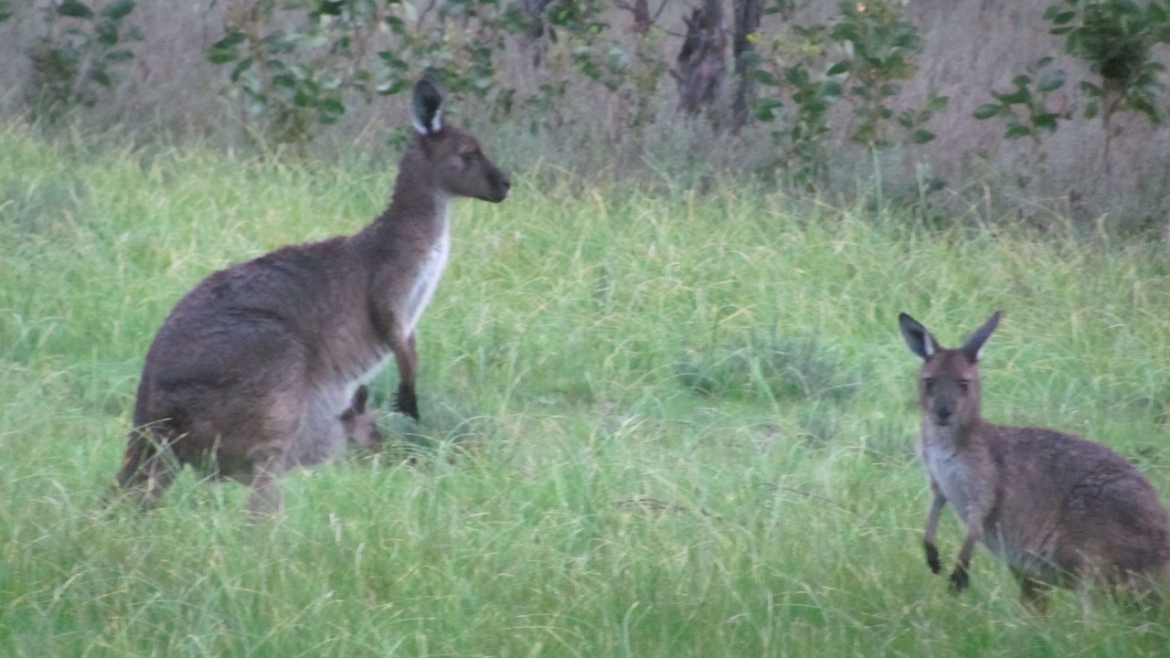 Photo of Outdoor in Gillentown