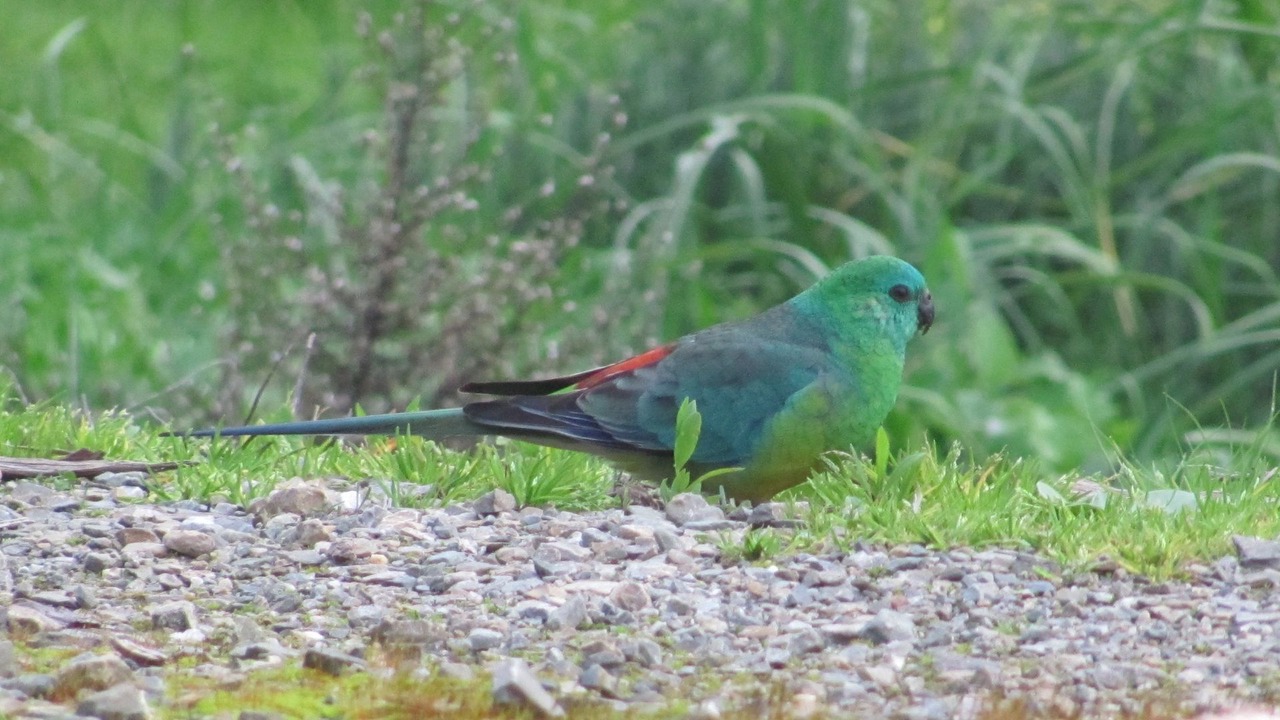 Photo of Outdoor in Gillentown