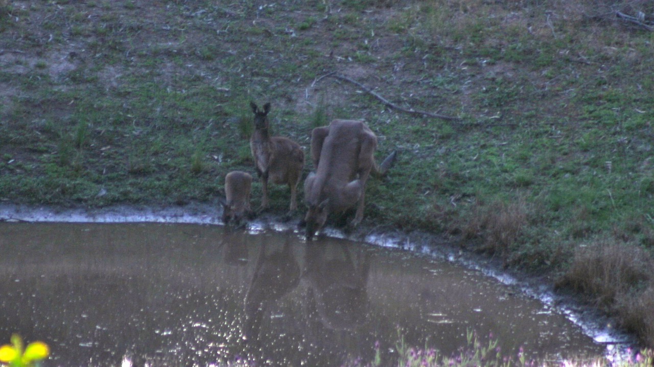 Photo of Outdoor in Gillentown