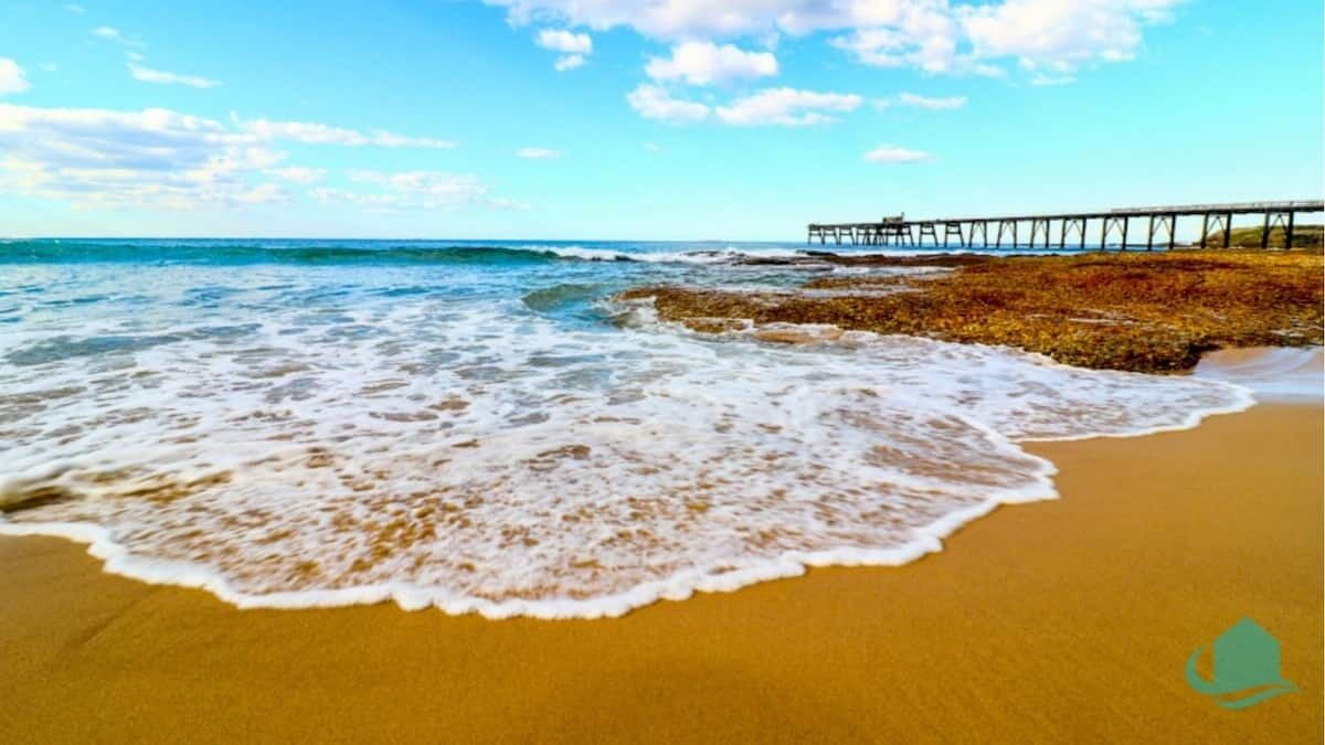 Photo of Others in Catherine Hill Bay